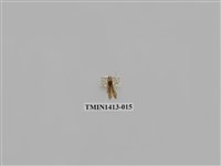 藏品(夜蛾科)的圖片